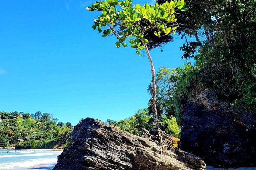 A True Trinidad North Coast Excursion experience 2