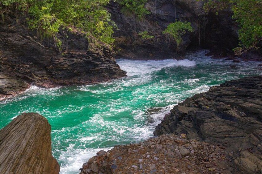 A True Trinidad North Coast Excursion experience 4