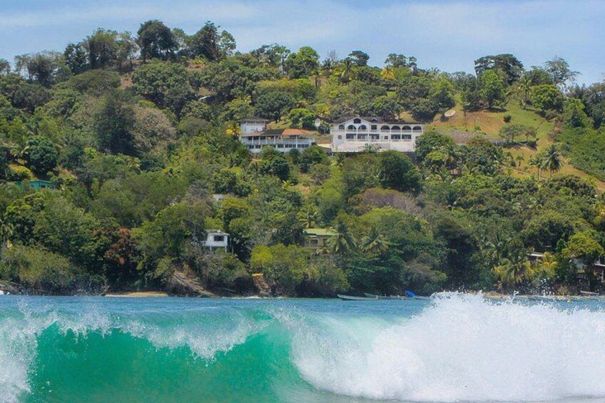 A True Trinidad North Coast Excursion experience 5