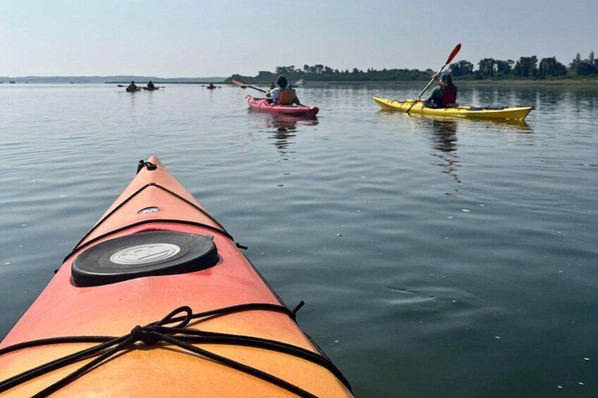 A red kayak with a paddle, a yellow kayak with a paddle, and a pink kayak with a paddle on calm water. 5