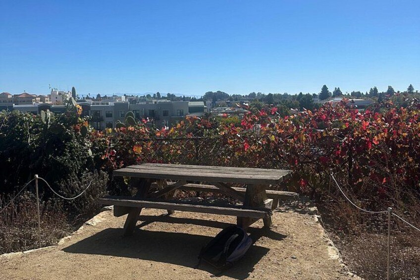 A picnic table in a garden with red flowers and a clear blue sky. 4