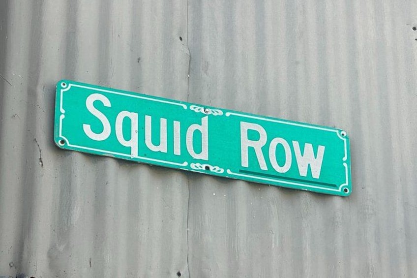 A green street sign with white lettering that reads 'Squid Row.' 5