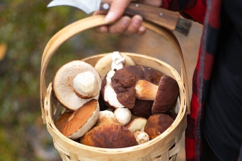 A basket filled with various mushrooms. 1