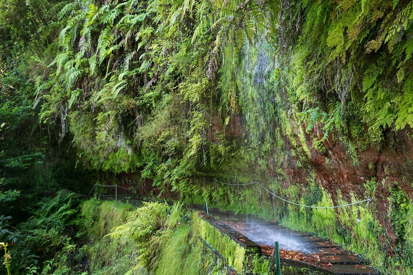 Levada Hidden Corners - Levada do Rei 3