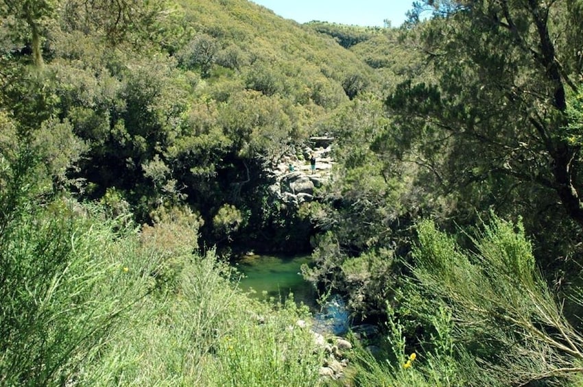 Levada do Alecrim - Wind Lagoon 5