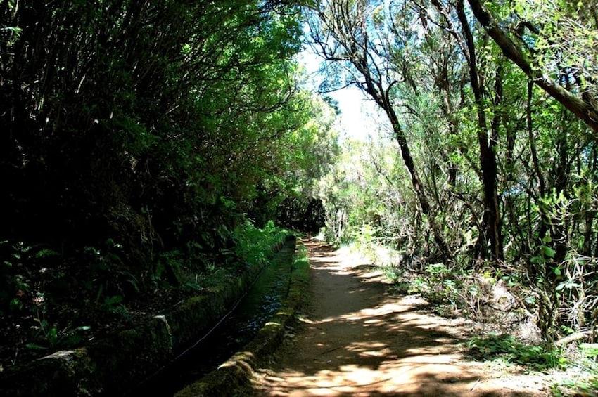 Levada do Alecrim - Wind Lagoon 4