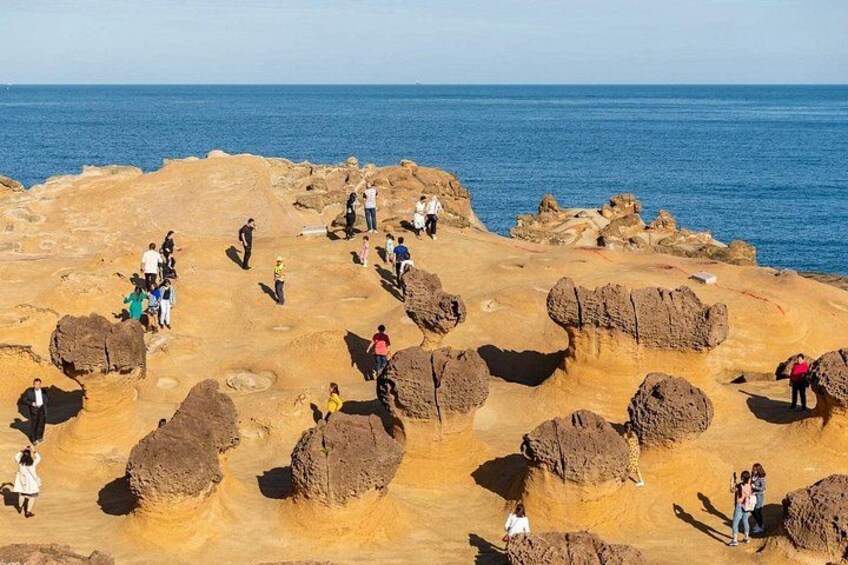 Yehliu Geopark, Jiufen, Shifen, and Golden Waterfall Day Tour 1