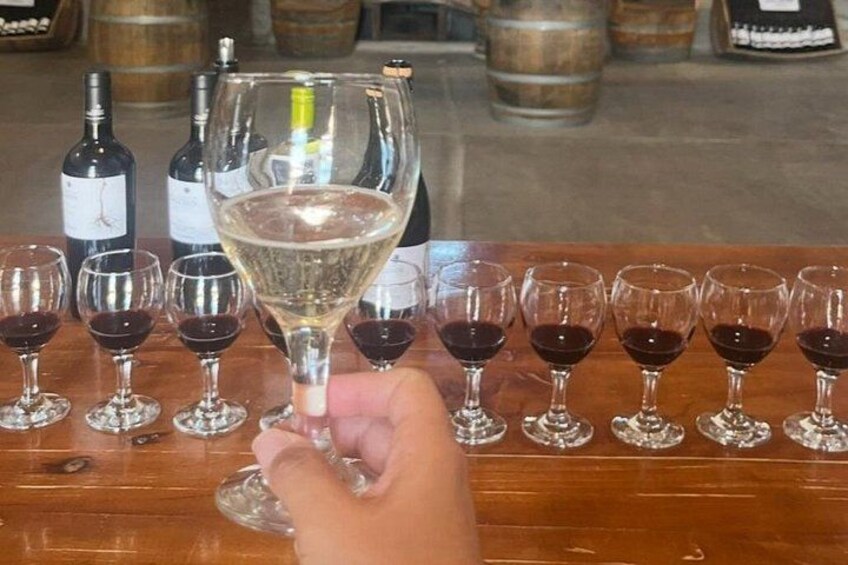 Flavors of Mendocinos 5