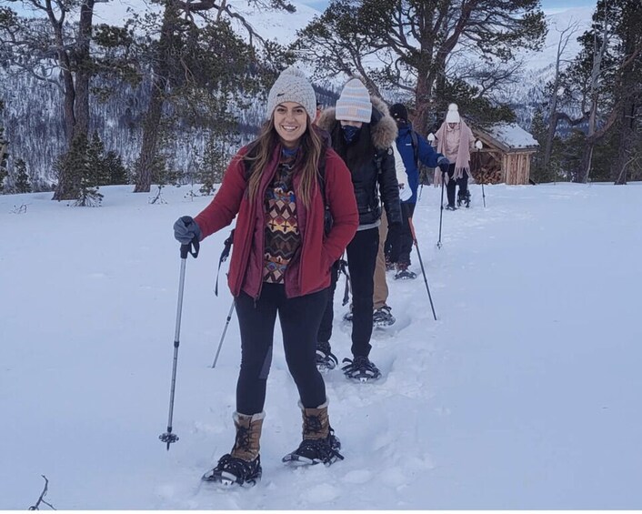A group of people cross-country skiing in a snowy forest. 2