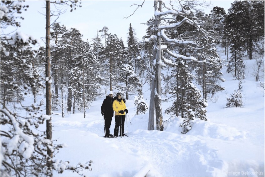 A snowy forest with two people skiing. 4