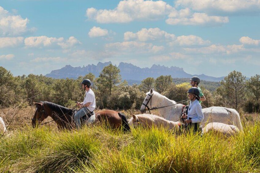 Two people riding horses in a grassy field with mountains in the background. 1