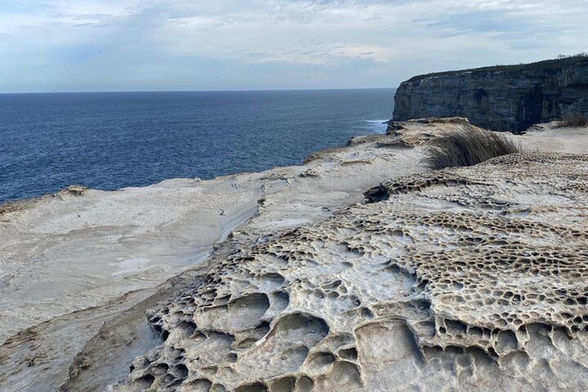 Royal National park 4