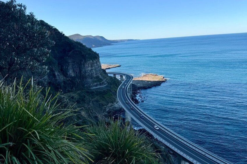 Sydney: Royal National Park Coast & Rainforest, Koalas & Lunch 5