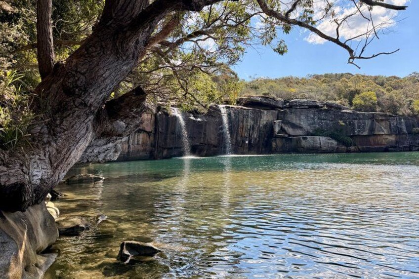Sydney: Royal National Park Tiny Group Hike, Swim, Picnic 2