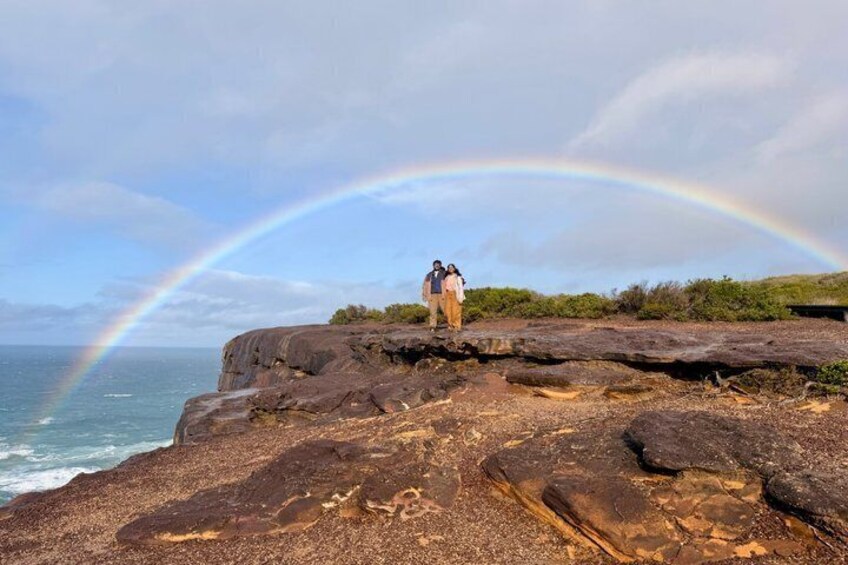 Sydney: Royal National Park Coast & Rainforest, Koalas & Lunch 2