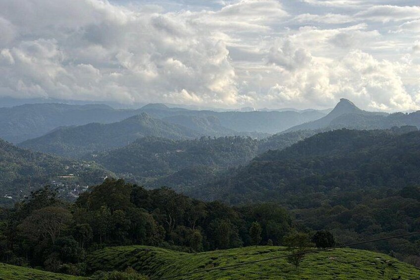 Paisaje montañoso con colinas onduladas, bosques densos y un pico lejano bajo un cielo nublado. 3