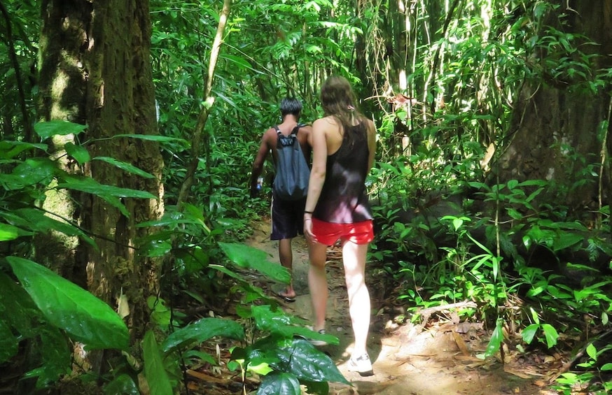 Couple hiking through Khao Sok National Park in Thailand