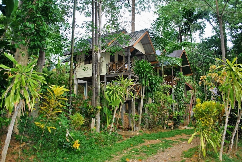 Cabin surrounded by trees in Khao Sok National Park in Thailand