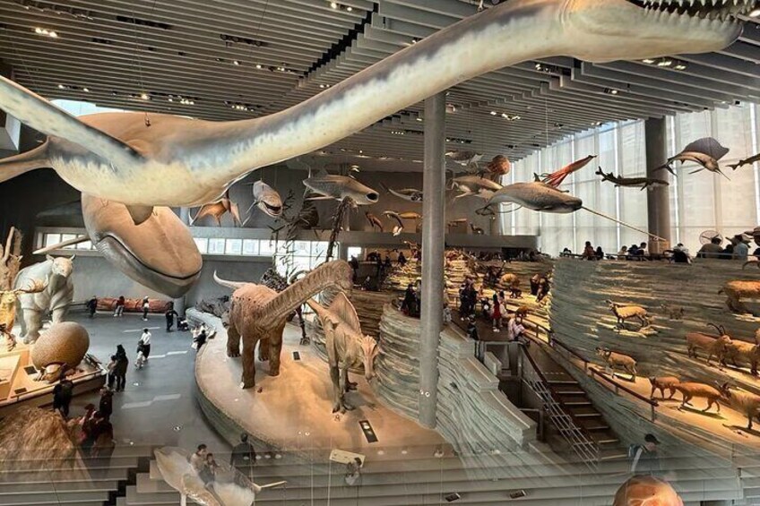 Un museo con esqueletos gigantes de dinosaurios y diversas exhibiciones de animales. 4