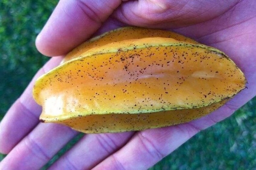Carambola (star fruit) 2