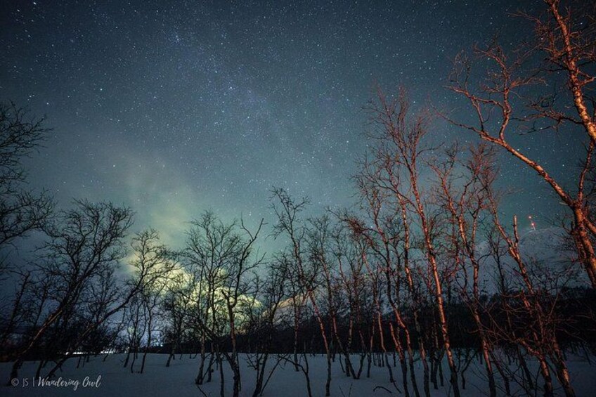 LEVI Night Star Walk on Snowshoes in the Wilderness(ALL INCLUDED) 1