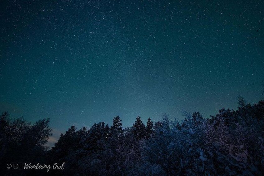 LEVI Night Star Walk on Snowshoes in the Wilderness(ALL INCLUDED) 3