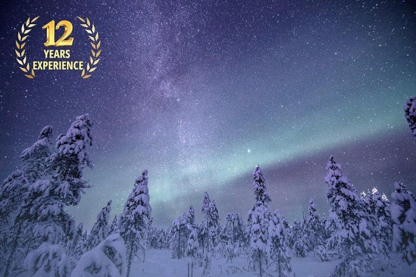 A snowy forest under a starry night sky with the aurora borealis. 1