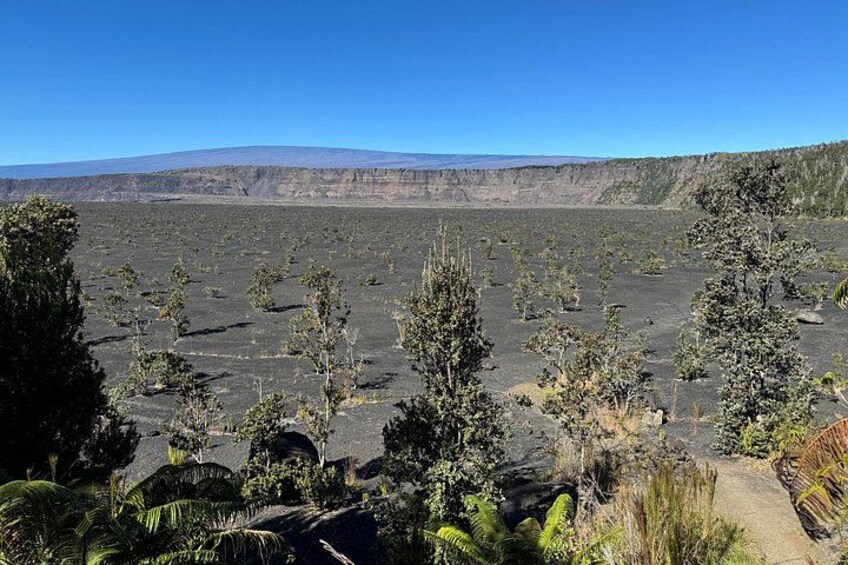 Private Custom Big Island Volcano Tours 2