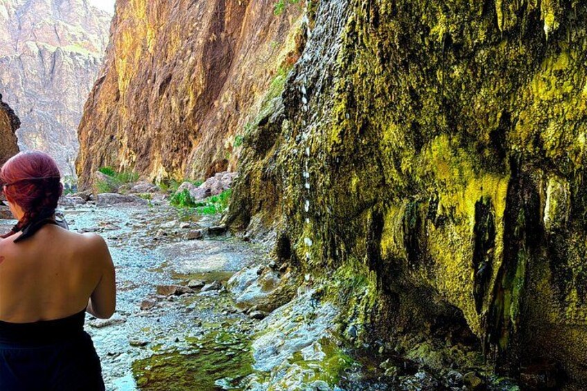 A person standing in a rocky canyon with a river flowing through it. 1