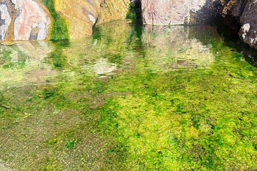 A clear pool with green algae, surrounded by multicolored rock formations. 3