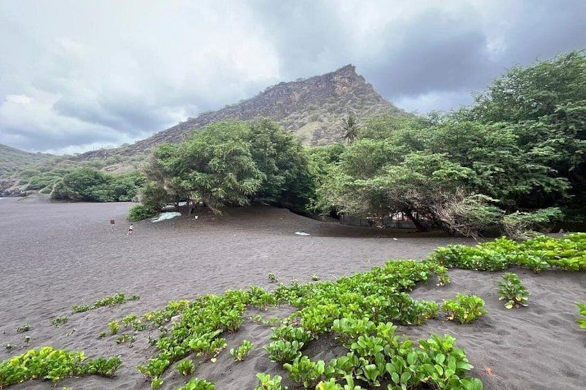 Black Sand Beach & Natural Pool – Scenic Adventure 3