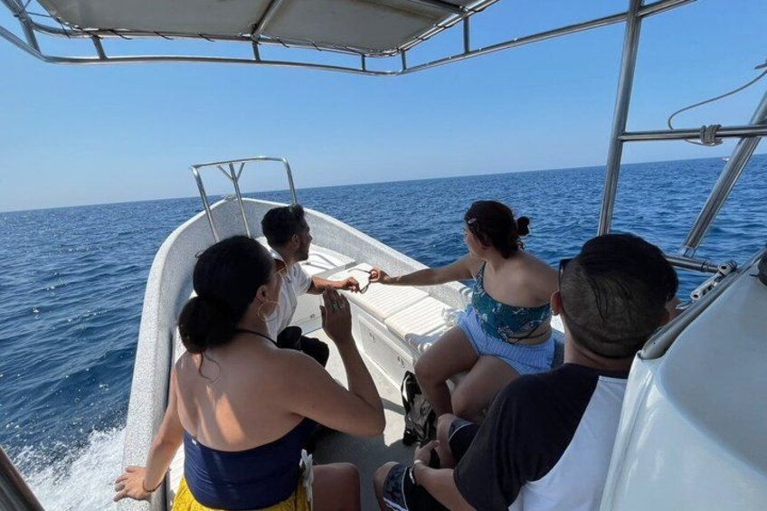 Private Dolphin and Turtle Tour Season 4