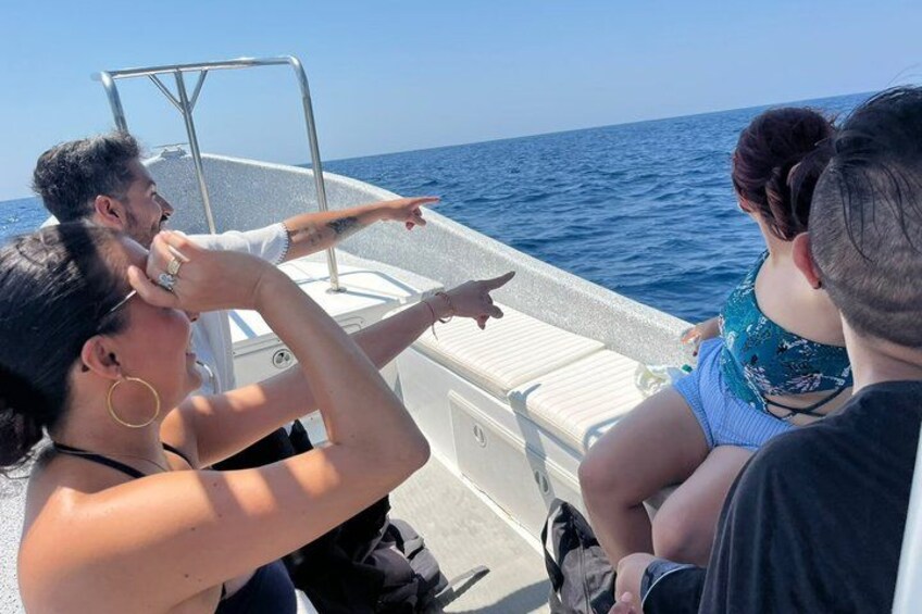 Private Dolphin and Turtle Tour Season 2