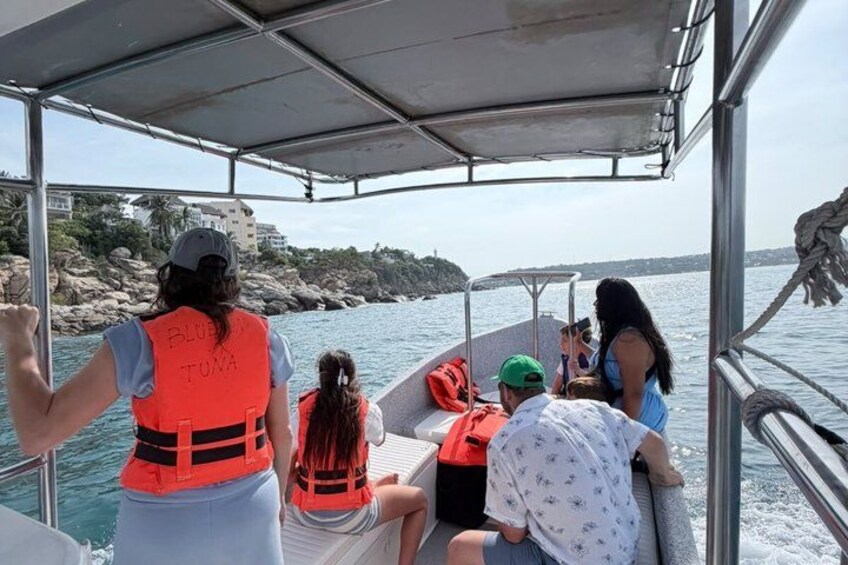 Private Dolphin and Turtle Tour Season 5