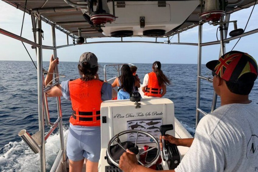Private Dolphin and Turtle Tour Season 3