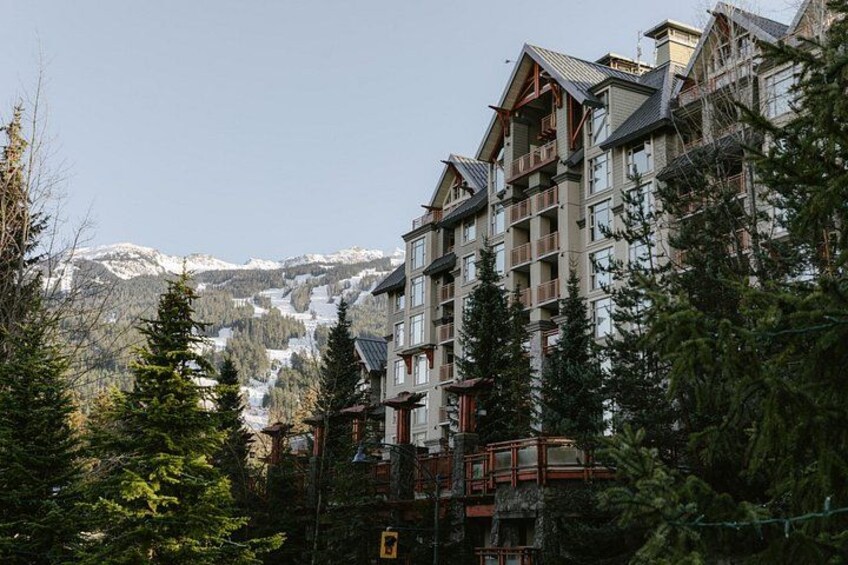 Vancouver Whistler Shannon Falls and Sea to Sky Gondola Day Tour 5