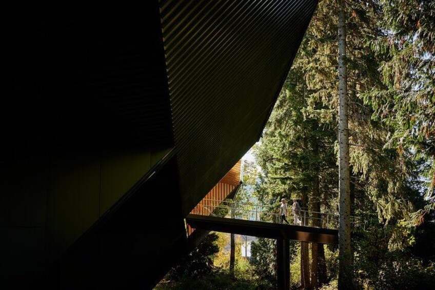 Vancouver Whistler Shannon Falls and Sea to Sky Gondola Day Tour 2