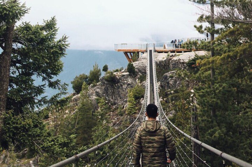 A person walking on a suspension bridge in a forested area with a view of the ocean in the background. 4