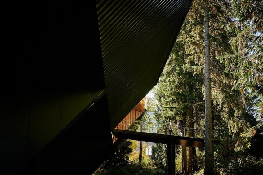Vancouver Whistler Shannon Falls and Sea to Sky Gondola Day Tour 3