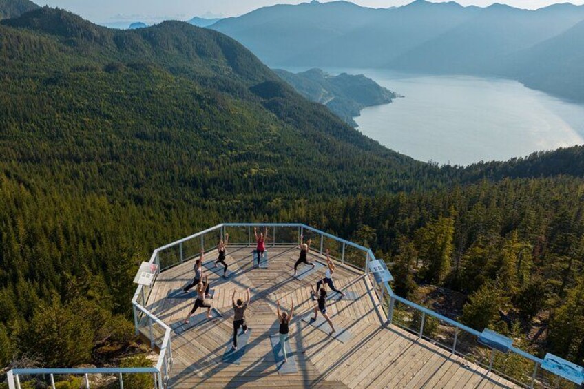 Vancouver Whistler Shannon Falls and Sea to Sky Gondola Day Tour 3
