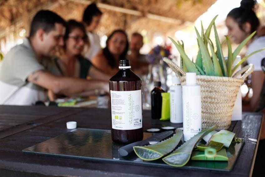 Une bouteille de jus d’aloe vera, des feuilles d’aloe vera et un panier tressé contenant des plantes, le tout posé sur une table. 3