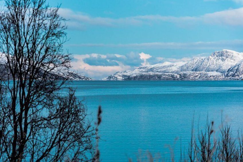 PRIVATE 5 Fjords Tour by Minivan in 4 Hours 2