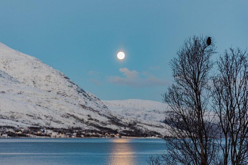 PRIVATE 5 Fjords Tour by Minivan in 4 Hours 4