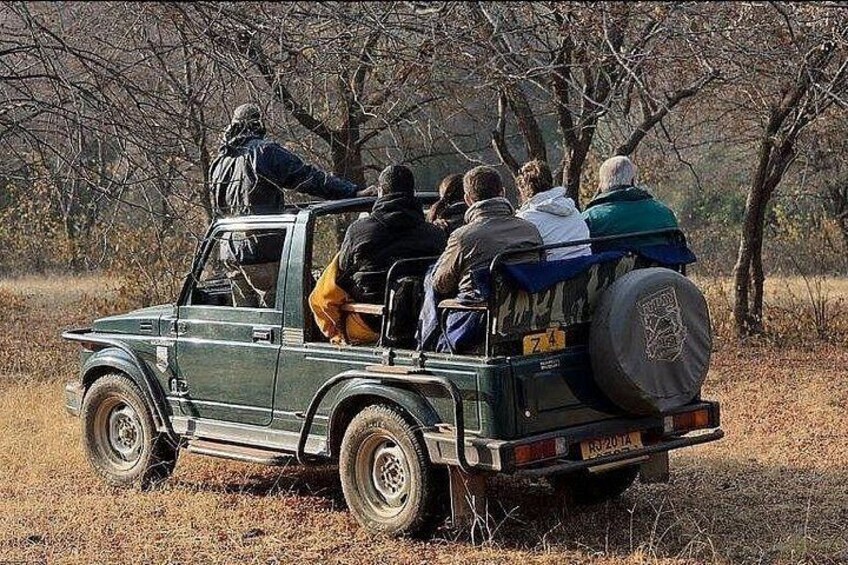 A group of people in a green safari vehicle driving through a dry, grassy area with sparse trees. 2