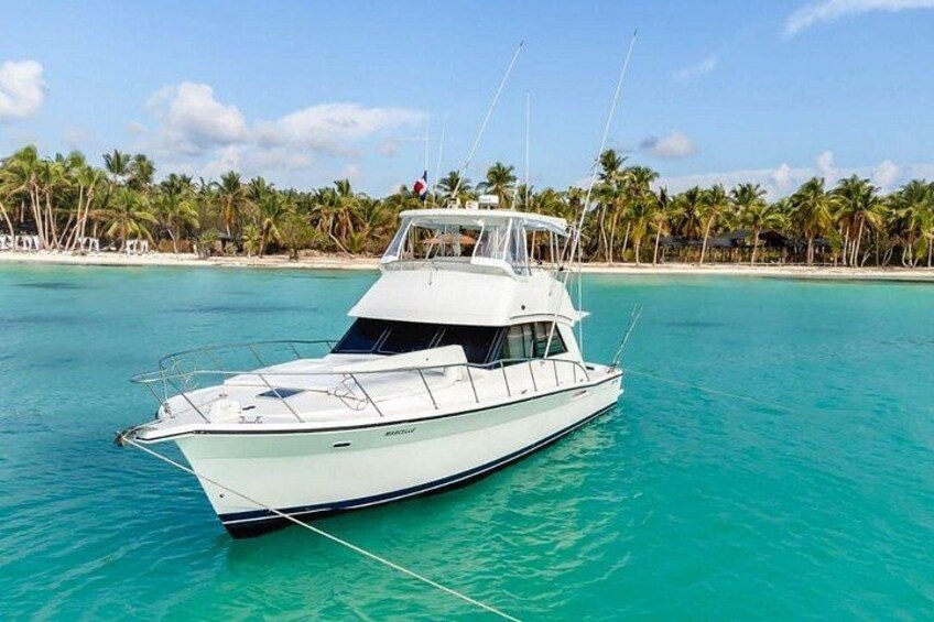 Un bateau blanc sur une eau turquoise, avec une plage et des palmiers en arrière-plan. 1