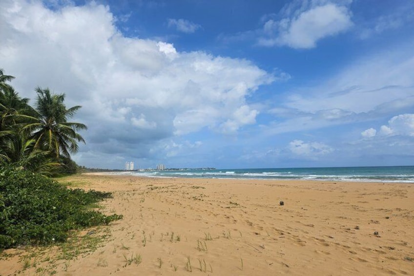 A sandy beach with palm trees, ocean waves, and distant buildings under a partly cloudy sky. 3