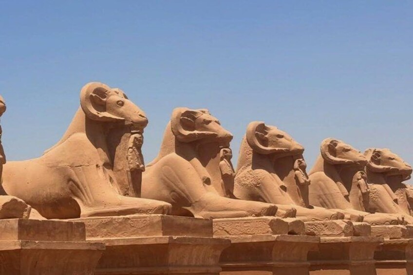 A row of ancient Egyptian sphinx statues. 2
