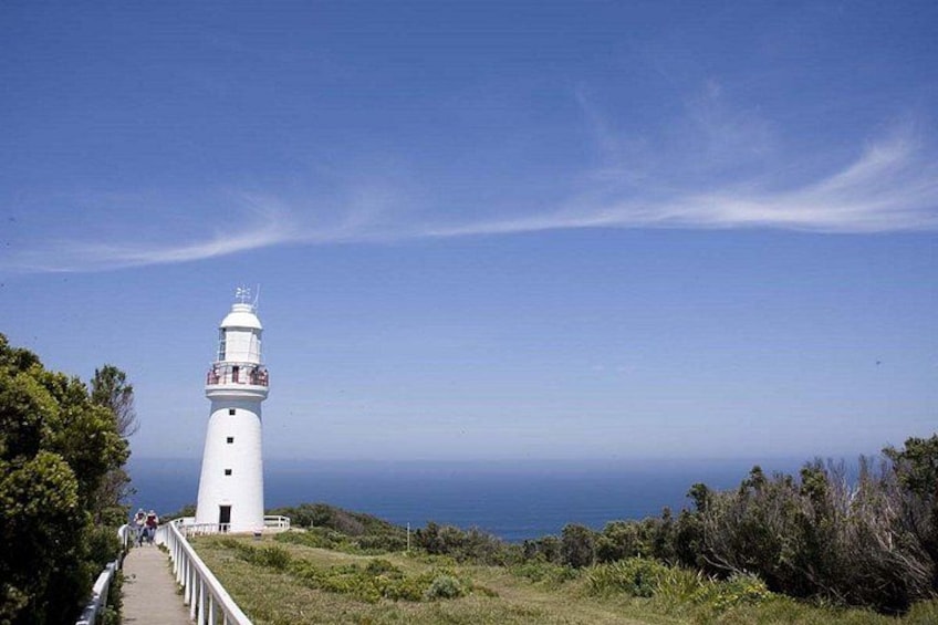 A white lighthouse with a walkway, surrounded by greenery and overlooking the ocean. 3