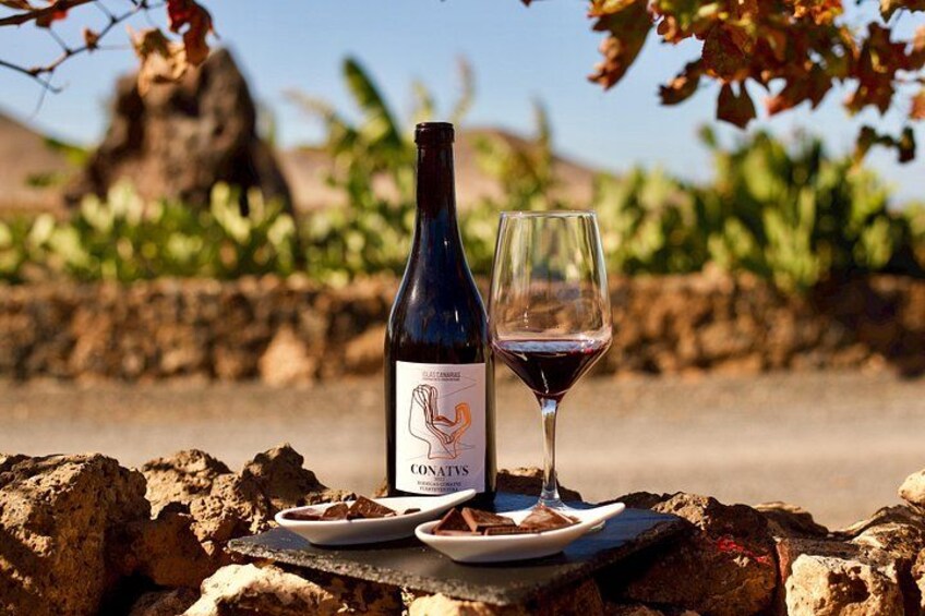 Fuerteventura: Wine Tasting and El Cotillo Afternoon Escape 1