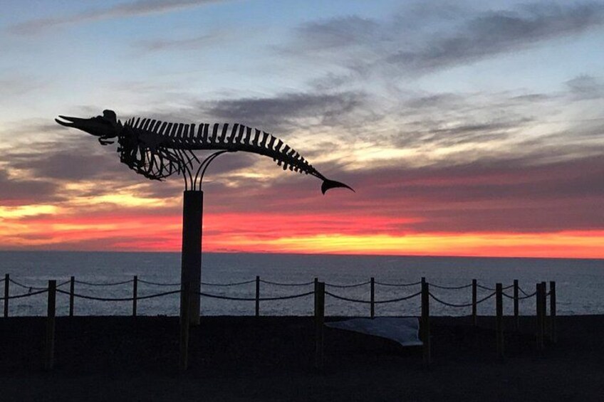 Fuerteventura: Wine Tasting and El Cotillo Afternoon Escape 2